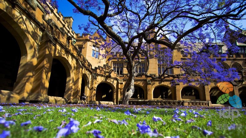 hooli带你攻克澳洲留学租房五大难题！