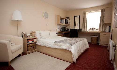 Warehouse Standard Studio - Warehouse Apartments