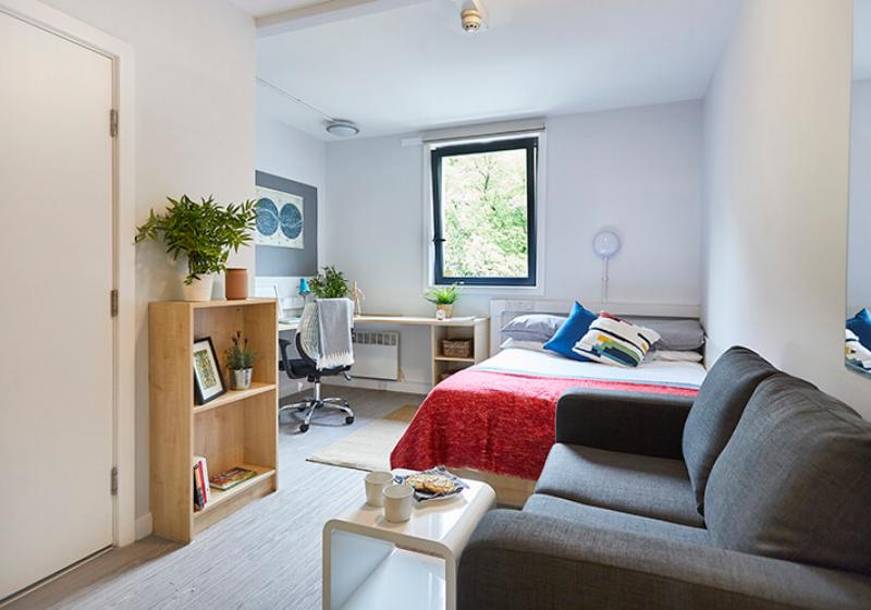 Platinum En Suite Plus - iQ Parker House