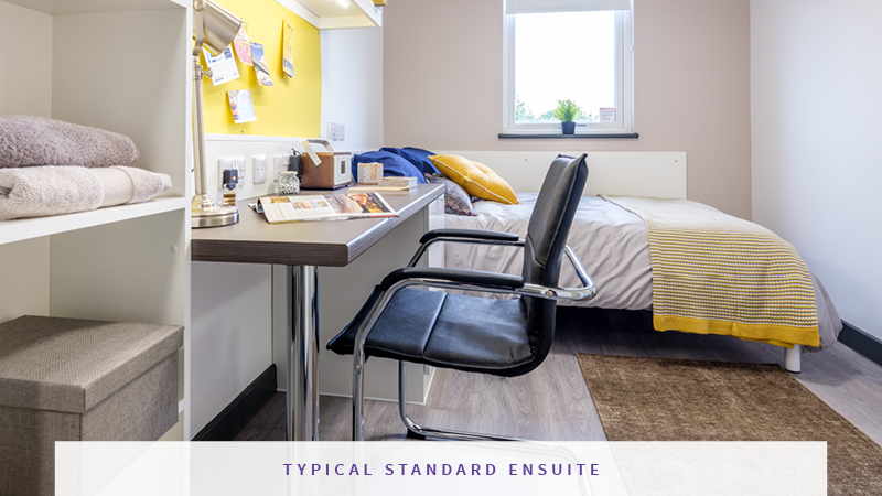 Standard - Albert Place