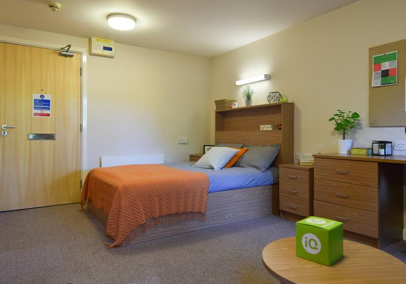 Bronze Studio - iQ Leeds