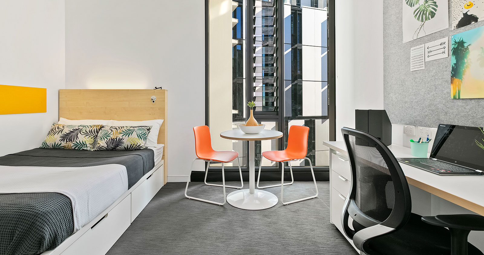Premium Studio Apartment - Iglu Chatswood