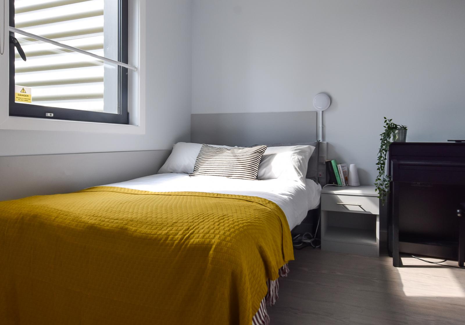Bronze Studio Plus - iQ Parker House