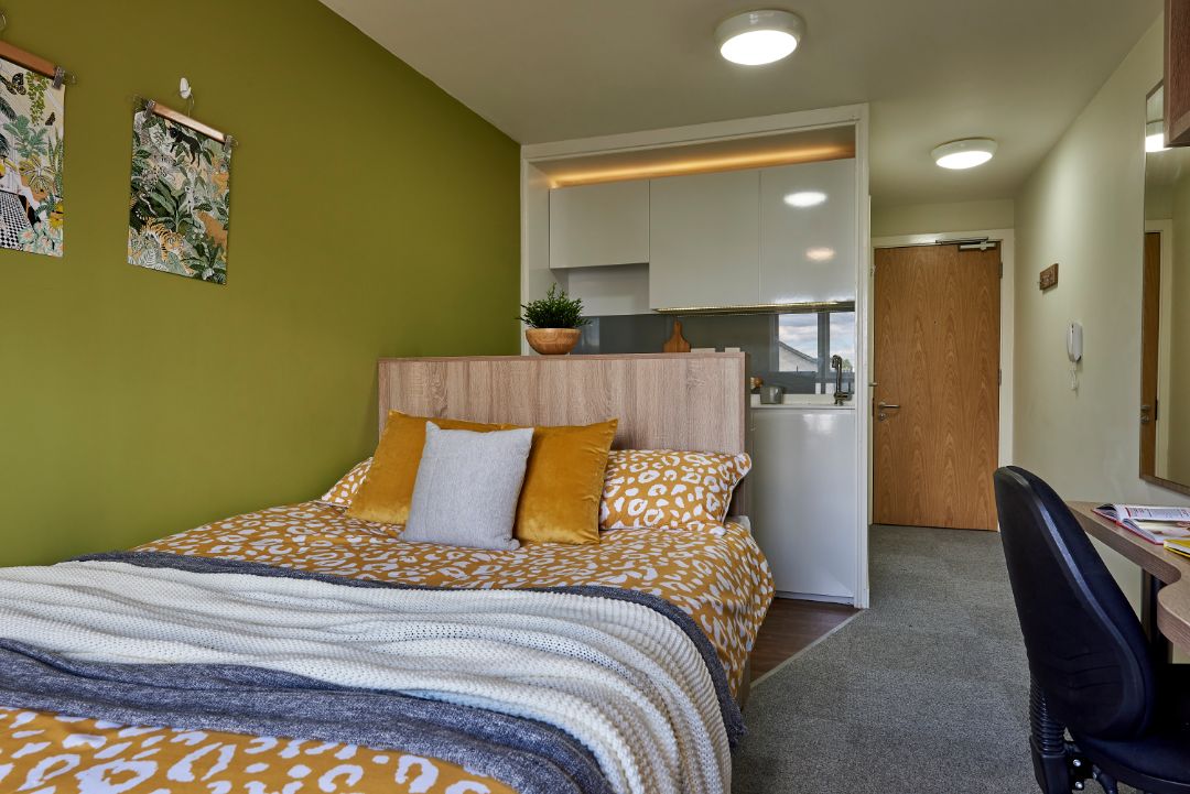 Standard Studio - Selly Oak Court