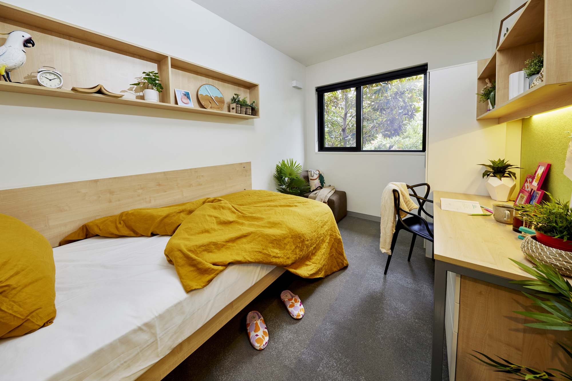 6 Bed_Ensuite_KingS - Scape Sydney Central