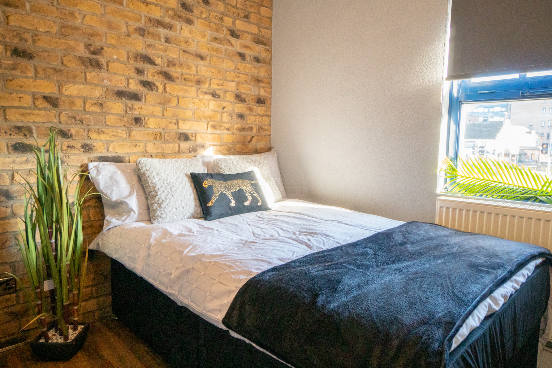 Silver Studio - College Mews