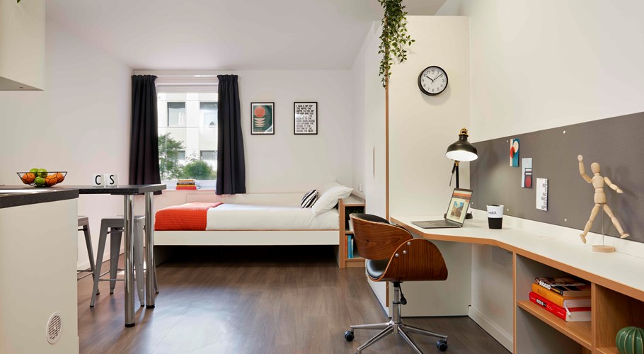 Silver Studio - Single Occupancy - Asa Briggs House