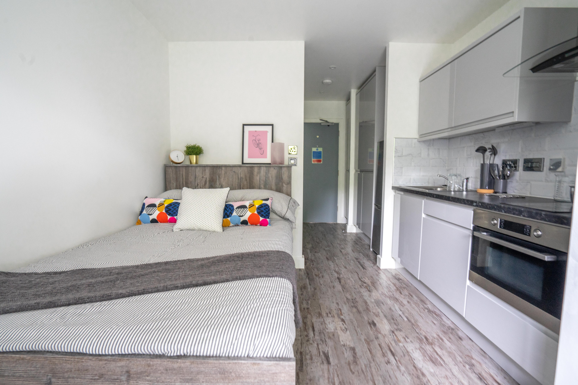 Premium Studio - The Oval