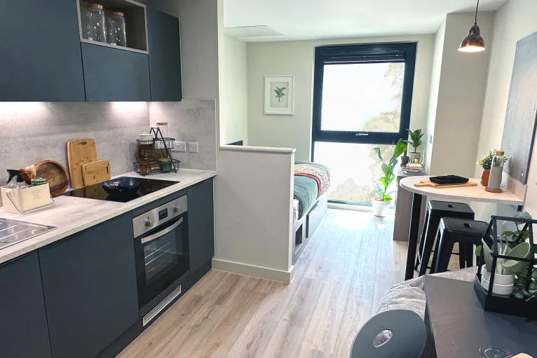 Deluxe Studio Plus - Stanley Studios - Portsmouth