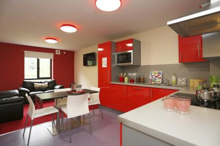 Classic En-Suite Ground Floor, Kentish House - Behn Hall, Canterbury