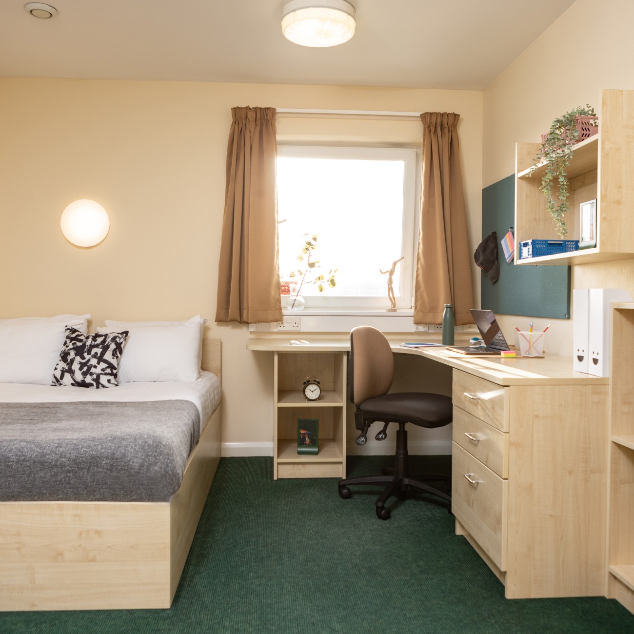 Gold - Newport Student Village