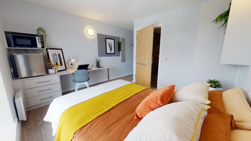 Gold Mini Studio - iQ Student Quarter