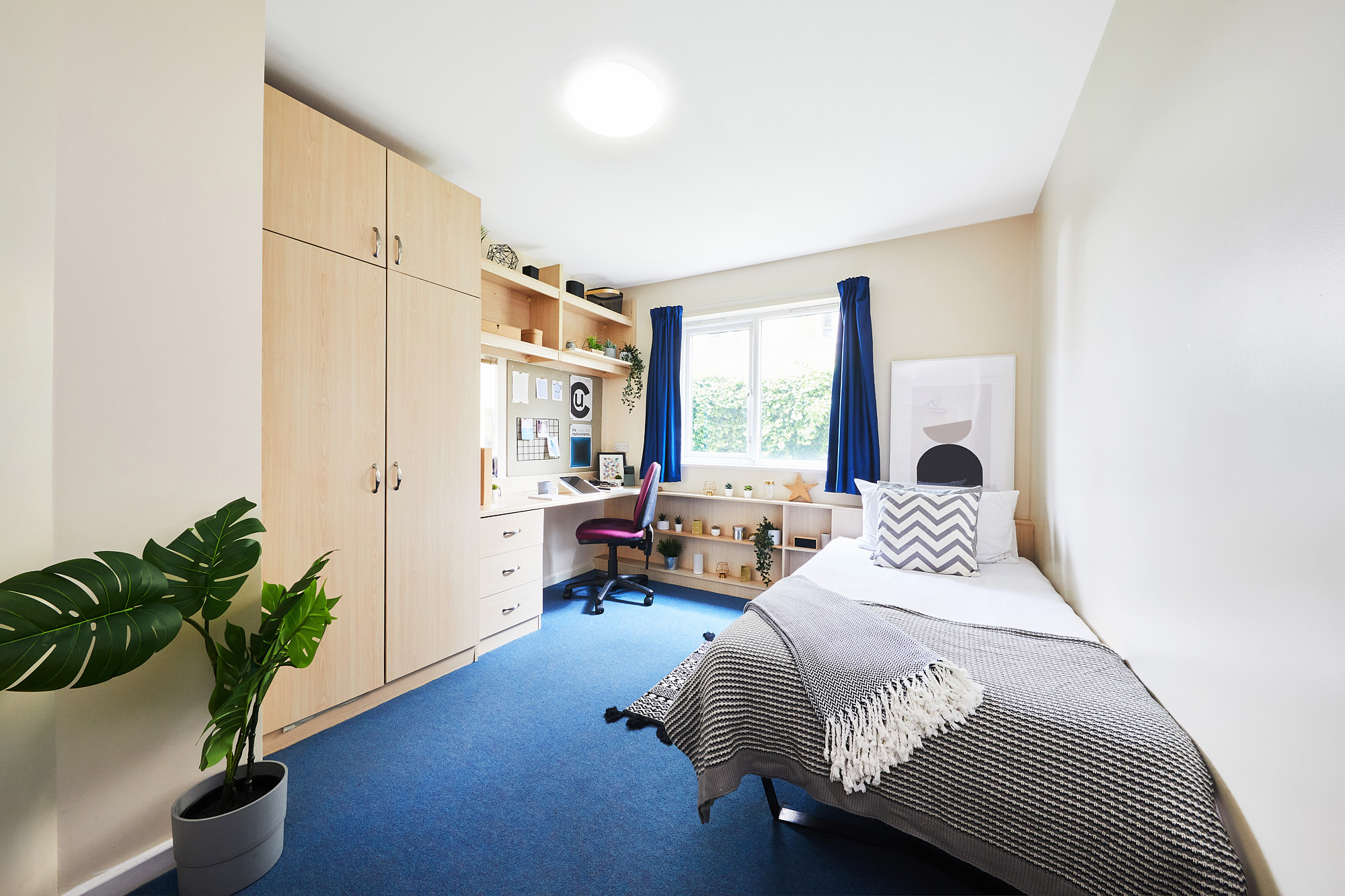 Single Ensuite Room - Shaftesbury Hall