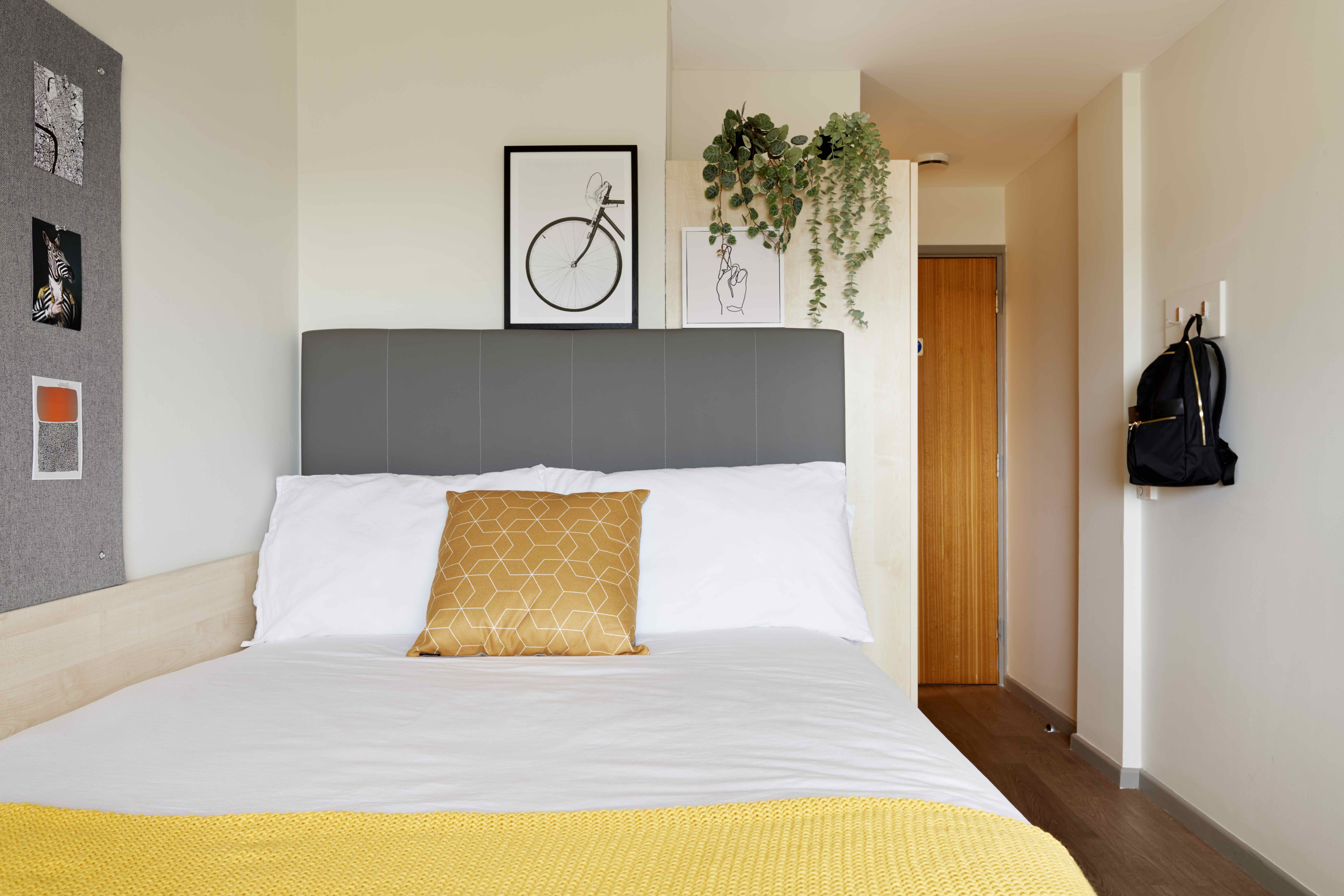 Bronze Studio - Accessible - Single Occupancy - Discovery Heights