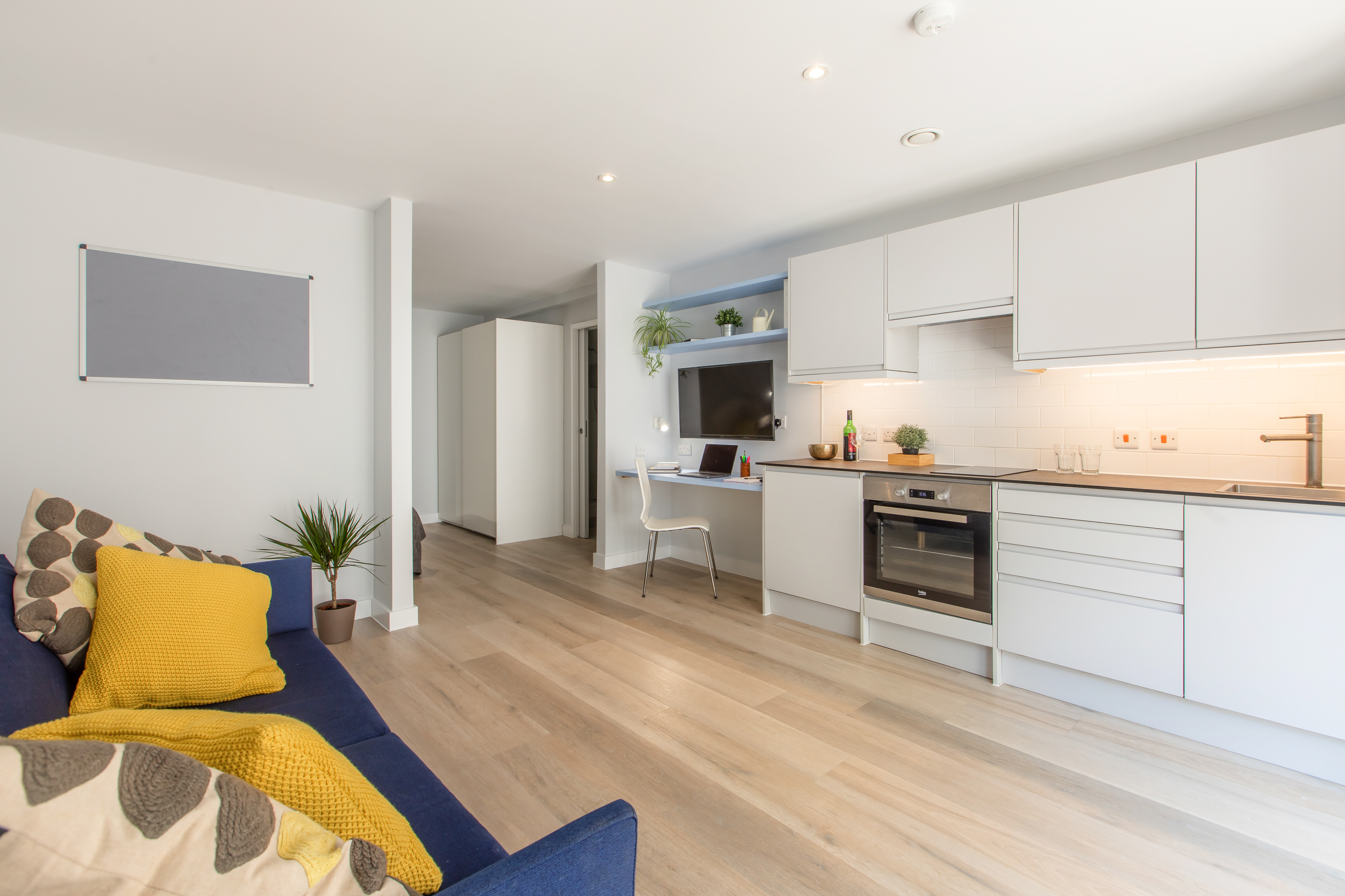 Superior Apartment - The Leat