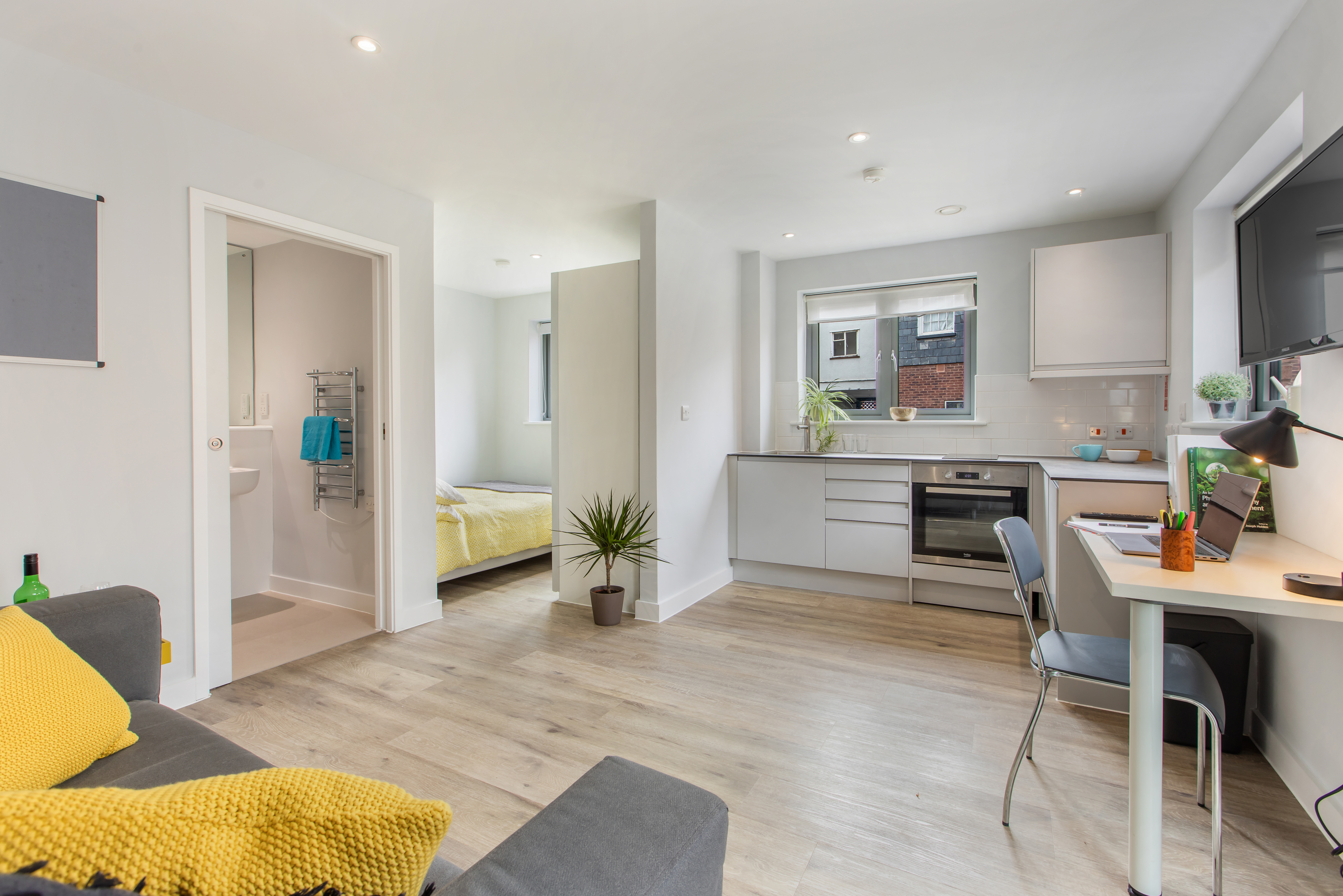 Classic Large Apartment - The Leat