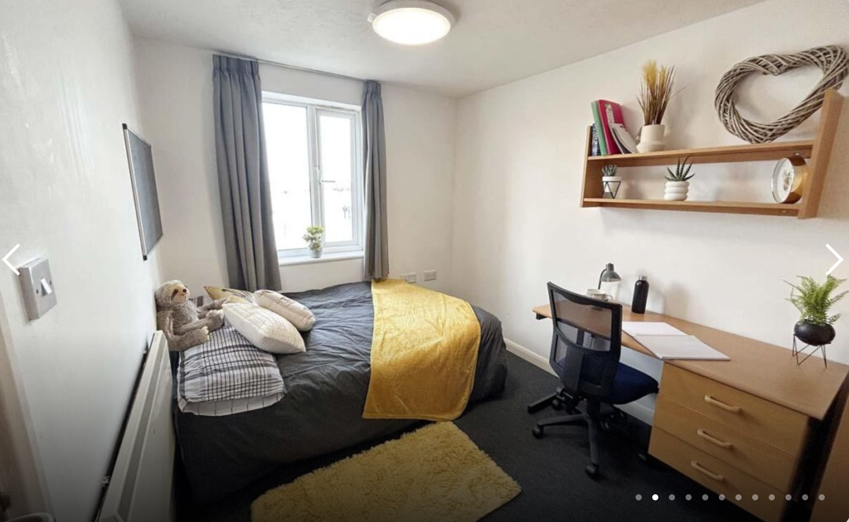 Deluxe En-suite Sheldrake House - Rochester Student Village