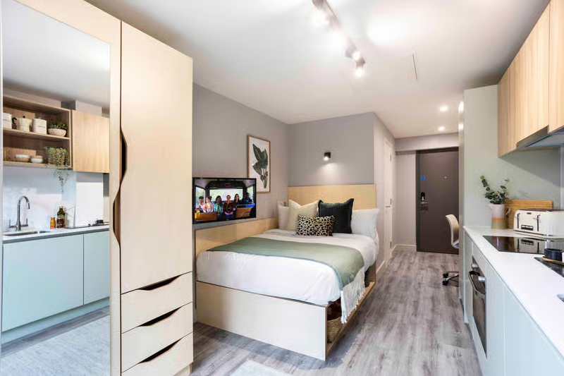 Premium Studio - Aster House