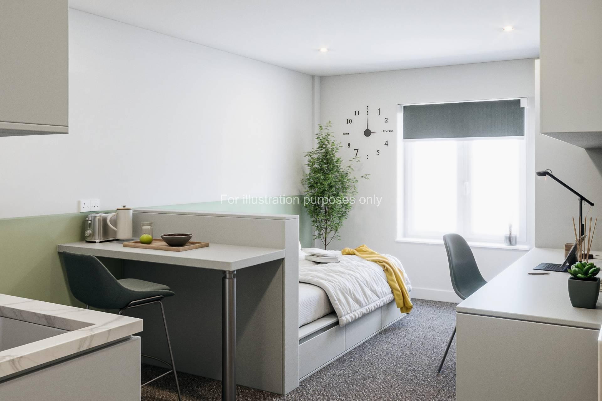 Bronze Plus Studio - Icon House