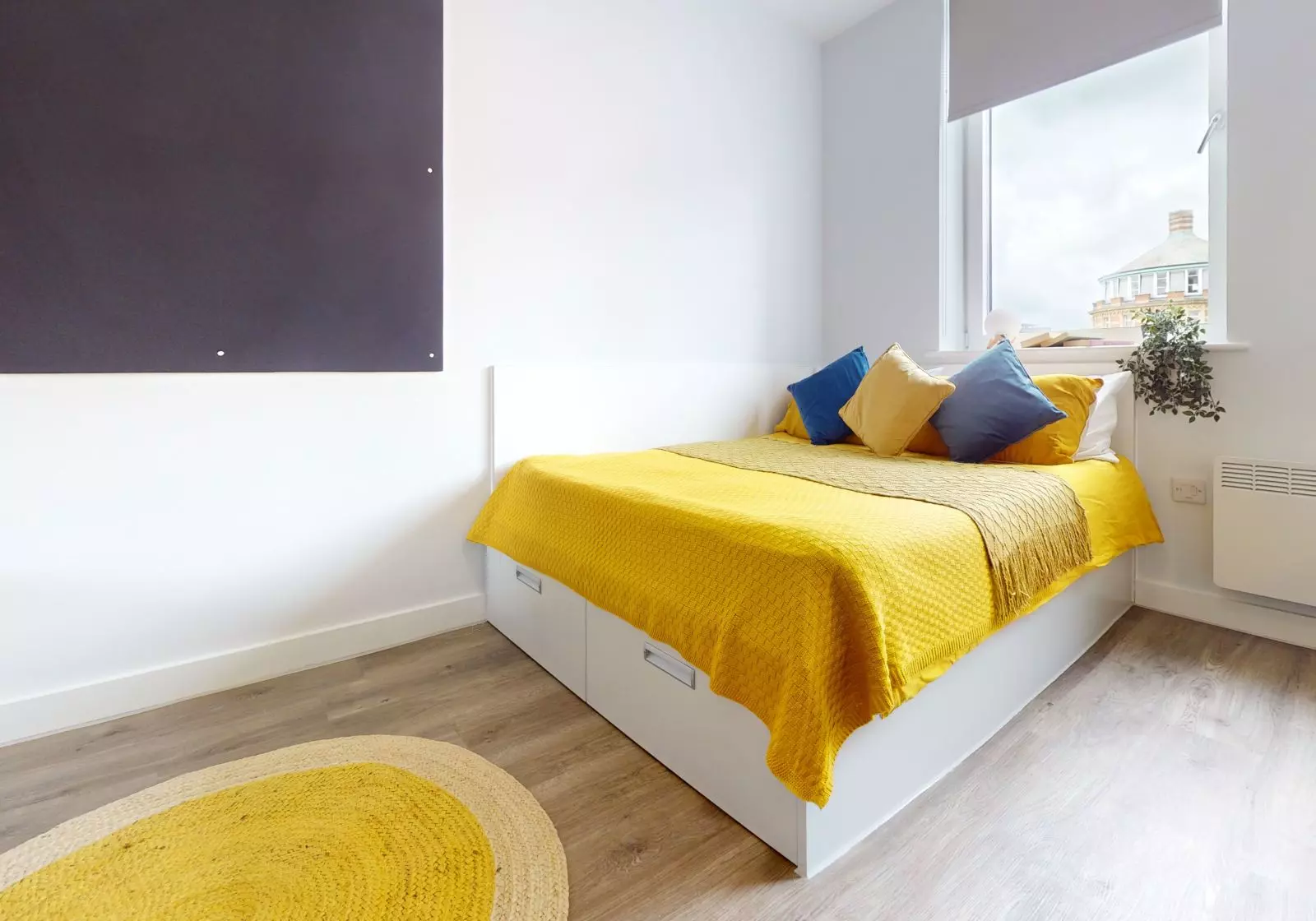 Bronze Studio Premium - iQ Newland House