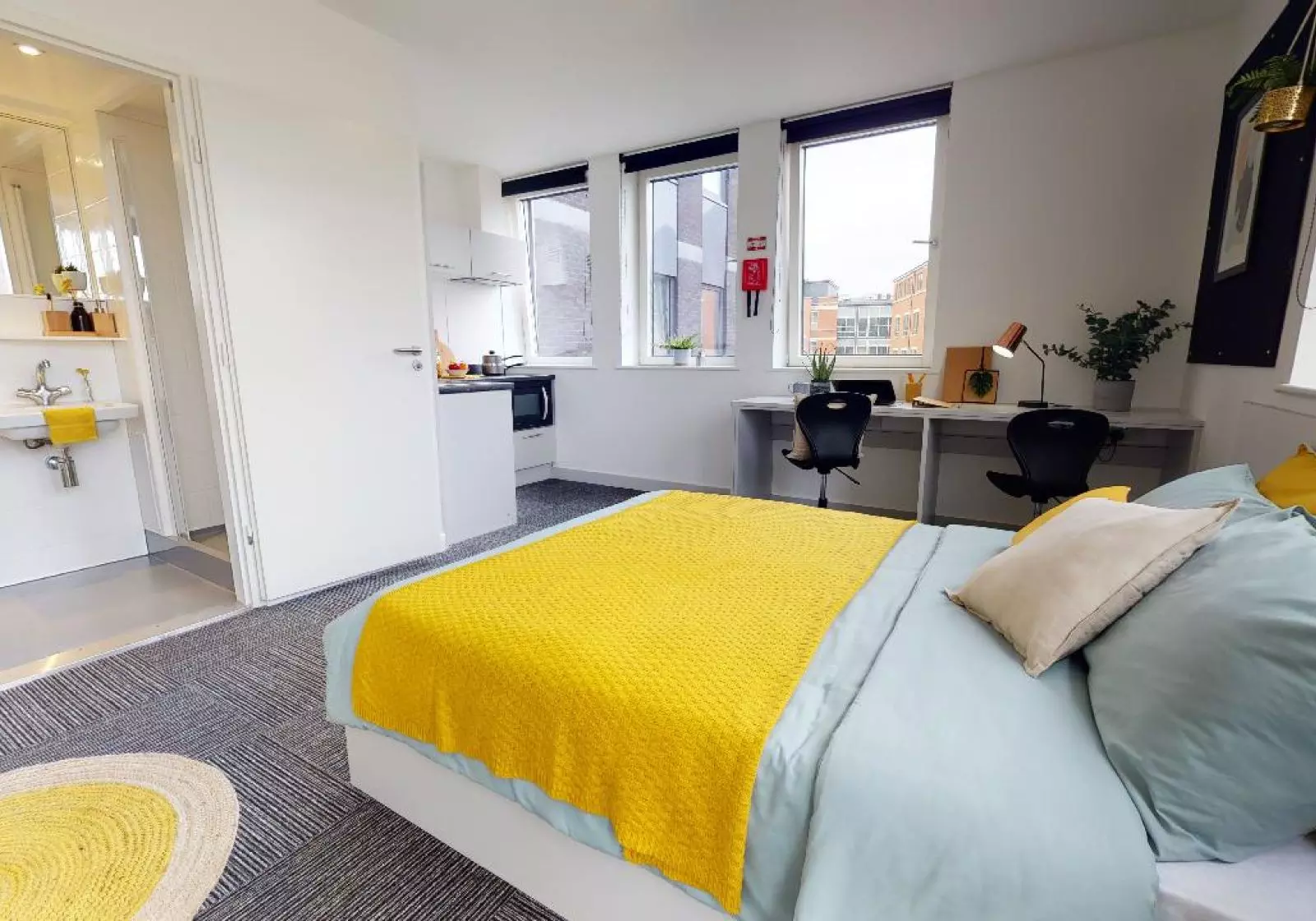 Gold Studio Plus - iQ Newland House