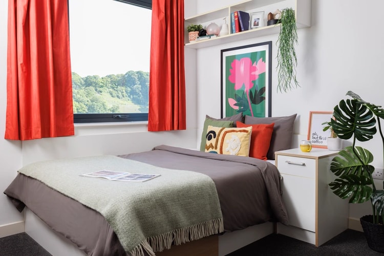 Medium Standard Double Studio - Elvet Studios