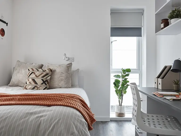 Premium Plus Studio - The Quarry