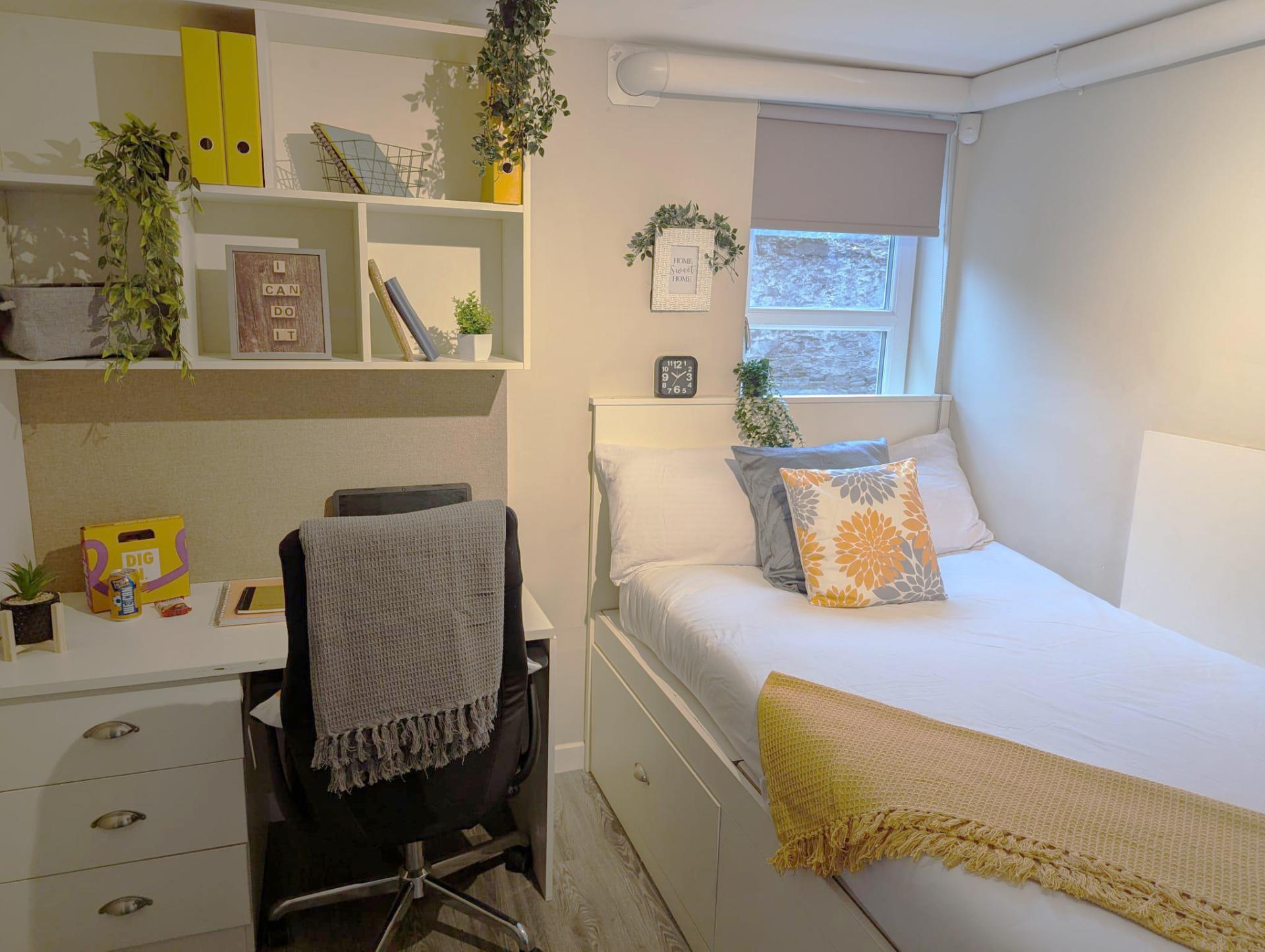 Standard Ensuite - Peterson Hall
