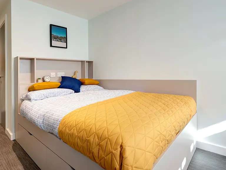 7 Bed Standard En-suite (Restricted View) - Carrick View