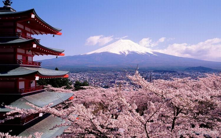 日本留学生考试到底考什么？hooli君带你了解真正的“留考”